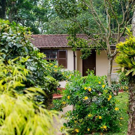 فيلا Casa Do Lenhador Petrópolis المظهر الخارجي الصورة